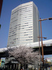 sakura_nagoya_20090406_03.jpg