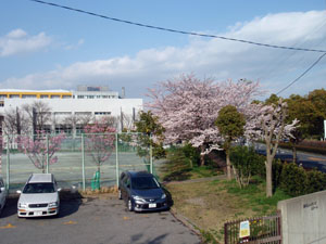 http://www.mackharry.com/~weblog/images/makuhari_2010_0403_01.jpg