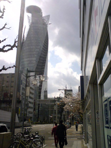 http://www.mackharry.com/~weblog/images/sakura_nagoya_20090326_02.jpg