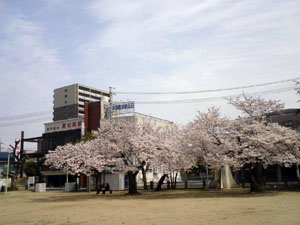 http://www.mackharry.com/~weblog/images/tsu_shinmachi_20100404_01.jpg